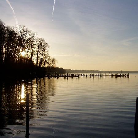 Ferienwohnungen Am Werbellinsee Schorfheide Dış mekan fotoğraf